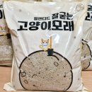 주식회사 블렌디드