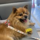 24시 창원2차동물의료원 이미지