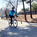 남산칼국수 - 횡성군 | 남산칼국수