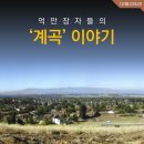 계곡이야기 이미지