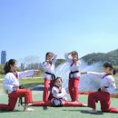선라이즈 태권도 이미지