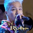 (주)호랑나비