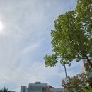 대구새론초등학교 이미지