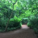 서연 민박 이미지