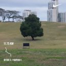 효자4동-07(교촌치킨 앞) | 10월의 일상