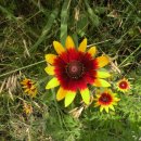 합천군산림조합 이미지