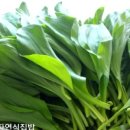 지리산황치마을영농조합법인 이미지