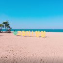 동해-단속-43 | 강원 양양 남대천 뷰 오토 캠핑장 임대