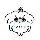 바이백 이미지