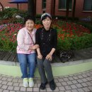 성동부화장 이미지