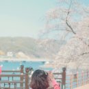 네일돕