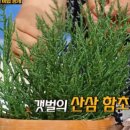 함초닷컴