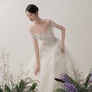 루아네 하우스 | 드투 준비사항 및 대전 본식 드레스샵 투어 후기(루이비스, 더에이미, 루아스포사)