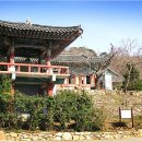 개심 이미지