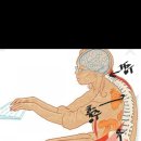 더 고운 테라피