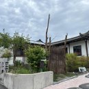 안도촌집 이미지