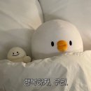 W8. Our Wedding Day : 더링크호텔 링크홀 본식 후기