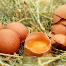 연세비타민의원 이미지