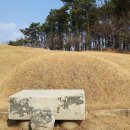 윤강 선생 묘 및 신도비 이미지