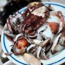 (주)태안모터스 인천서비스 | 왕초보의 인천 쭈꾸미 갑오징어 낚시 영종도 청마피싱 제우스호 후기