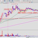 디아이인터내셔널 이미지