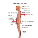 세인트피트니스 네이버블로그