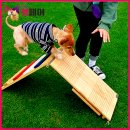 <b>이즈바</b> <b>어질리티</b> (놀이기구)