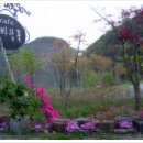 서성리 입구 이미지