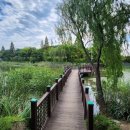 늠내길5코스 정왕둘레길 이미지