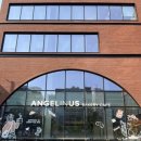 엔젤리너스 - 세종특별자치시 행복11길 3 | 잠실 카페 추천, 엔젤리너스 삼전사옥점 방문 후기! 조용하고 깔끔했던 본사 카페