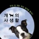 개를 품은 남자 이미지