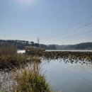 대요낚시터 이미지