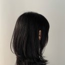 어니스트헤어 이미지