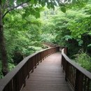 고산목장2 이미지