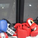 팀엑스복싱 이미지