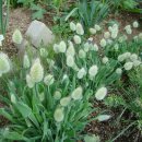 하늘정원3 이미지