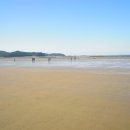 신두리해수욕장 이미지