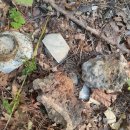 사기점골 이미지