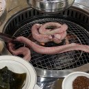 팔팔곰장어 이미지