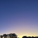 두상농장 이미지