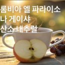루나웍스 이미지