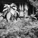 인봉세탁소 이미지