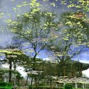 강원도립화목원 이미지