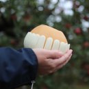 장현농원 이미지