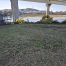 성암동패총 이미지