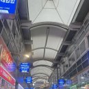 라임여행사주