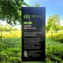 행정용 73 | 행정마을 서어나무숲에서 힐링하며 천국 생태계 극상 체험/태조이성계역사탐방후기 250707(월) - 7