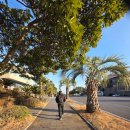 [Work and Life] 비즈니스 리더를 위한 건강관리 | 걷기가 재미있으니 제주도가 가깝다 - 제주 걷기