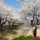 수만휘 기숙학원 본원 이미지