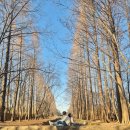 건천공원 | 겨울 경주여행 가볼만한곳 사진명소 천년숲정원 방문 후기